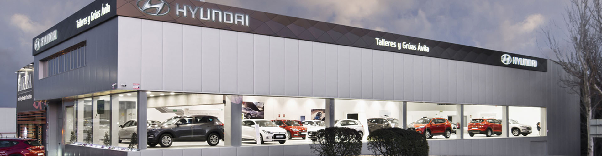 reforma-y-adecuacion-concesionario-Hyundai-Gruas-Avila-Valladolid-Slider
