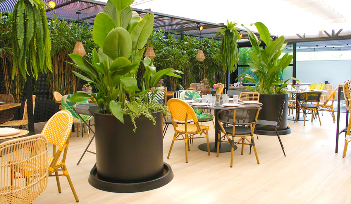 Interior de la terraza adornado con plantas y mesas restaurante-bar La Commissione